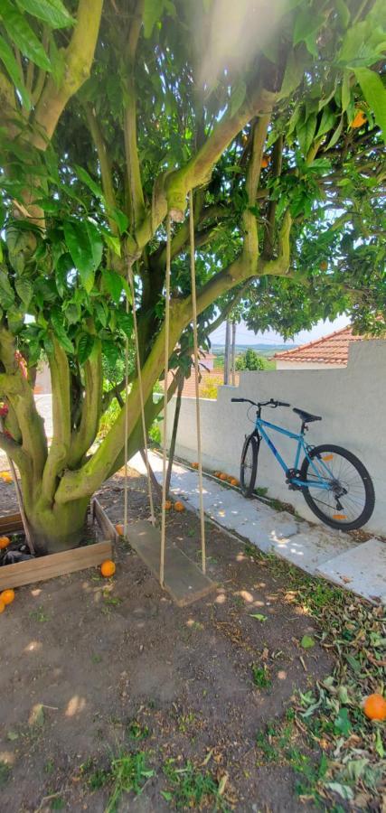 Casa Da Laranjeira Holiday home